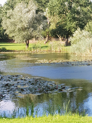 Comentarii opinii despre Restaurant De Flierenhof