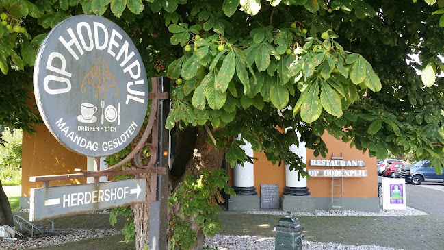 Comentarii opinii despre Op Hodenpijl