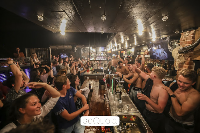 Comentarii opinii despre Sequoia Bar & Dancing