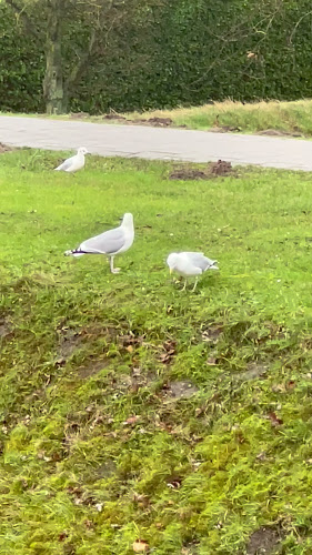 De Boulevard 55, 4617 HB Bergen op Zoom