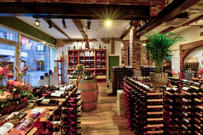 Comentarii opinii despre de Wijnkelder XL