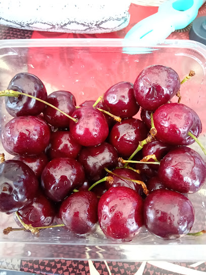 Fruitbedrijf Jack en Wendy van Horen