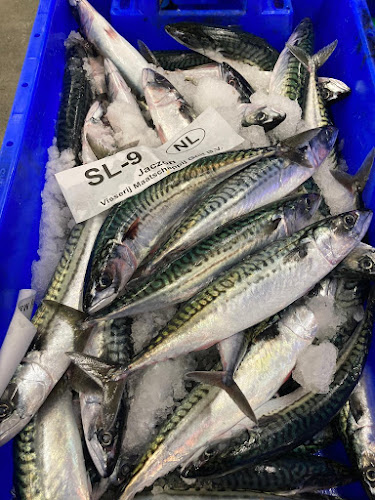 Visplaza - Alphen aan den Rijn