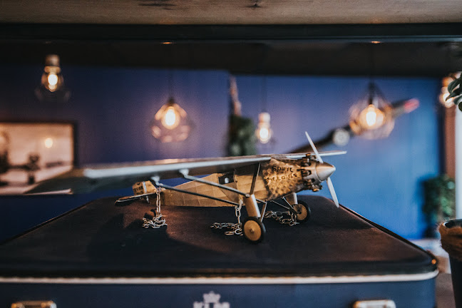 Comentarii opinii despre De Vliegenier