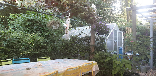 Opinii despre theetuin ik & mijn moeder în Enschede - Horeca