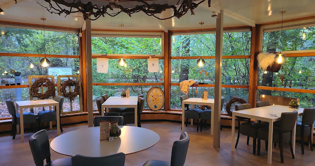 Kopje Genieten - Sellingen