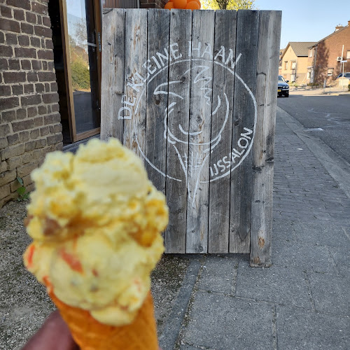 Comentarii opinii despre IJssalon “De Kleine Haan”