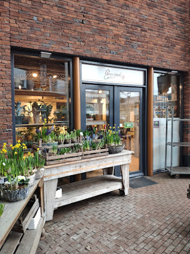 Winkelcentrum 't Rond