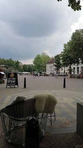 Comentarii opinii despre Engel X Bengel