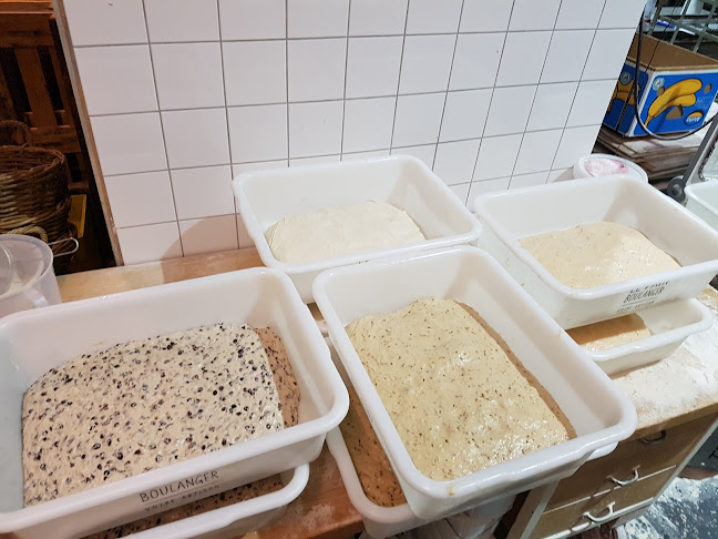 Opinii despre Bakkerij de Basis în Velsen-Noord - Horeca