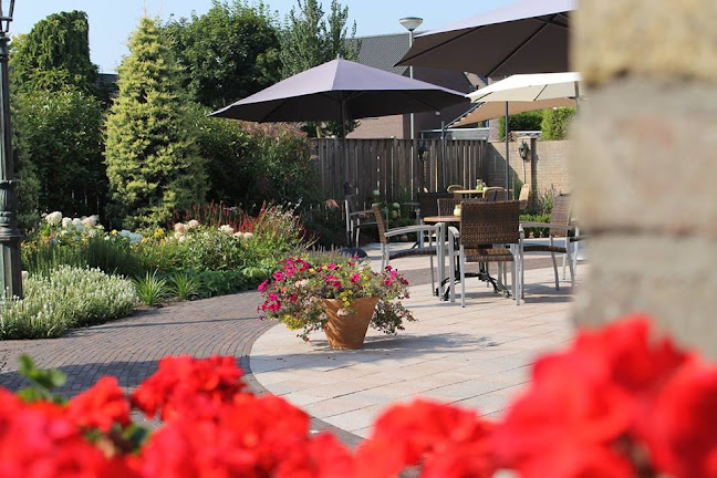 Opinii despre Afhaal Bej Ber în Swolgen - Horeca