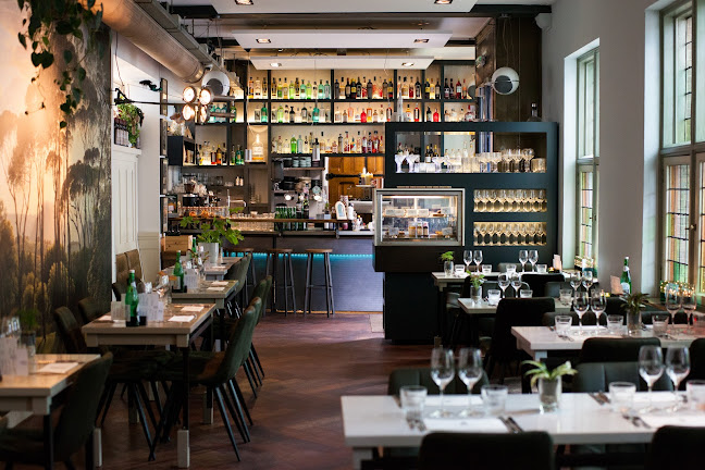 Comentarii opinii despre Zebedeus