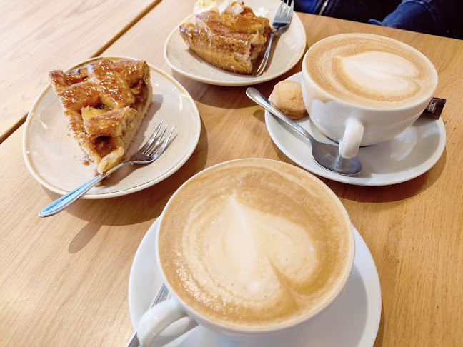 Barista Cafe - Rotterdam