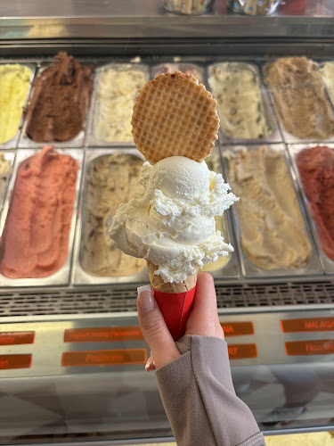 Comments and reviews of Talamini