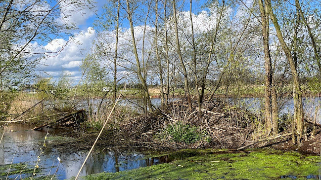 Poeldonk 17, 5275 HP Den Dungen