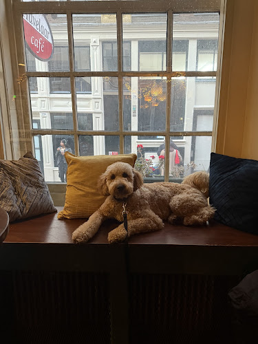 Reviews of Café Havelaar in Amsterdam - Horeca