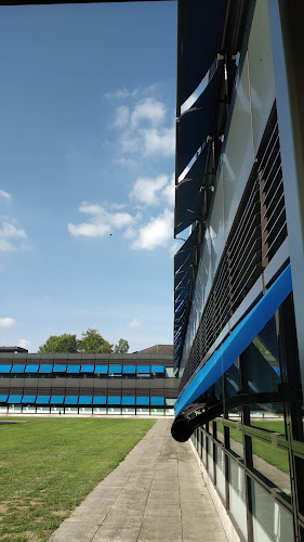 Opinii despre Borrelkelder Beneden Peil în Enschede - Horeca