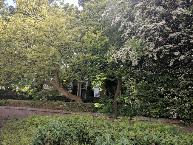 Comentarii opinii despre Lunchroom snackbar Obergum