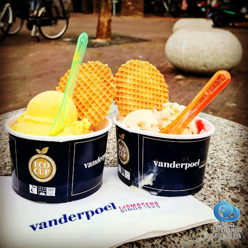 Comentarii opinii despre van der Poel ijssalon