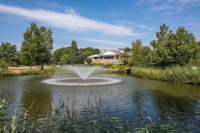 Comentarii opinii despre Dimples Restaurant | Brasserie