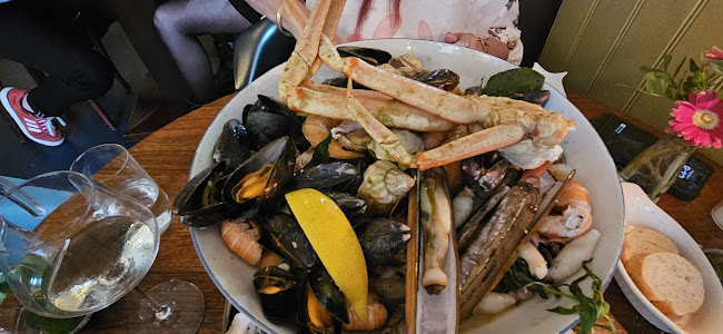 Brussels Lof - Groningen