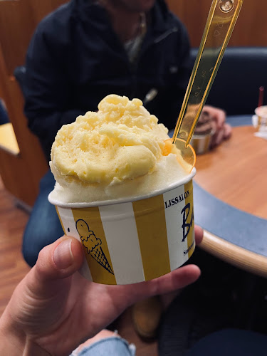 Comentarii opinii despre IJssalon Bastani