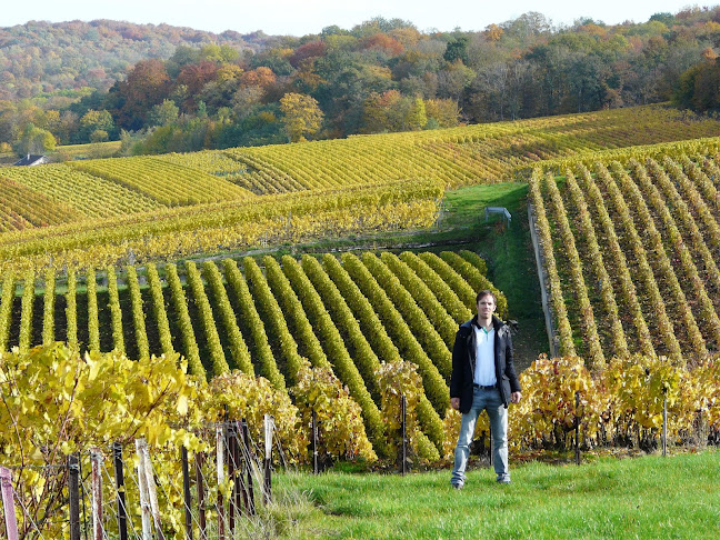 Time to Wine - 's-Hertogenbosch