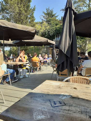 Comentarii opinii despre Theetuin de lage brug