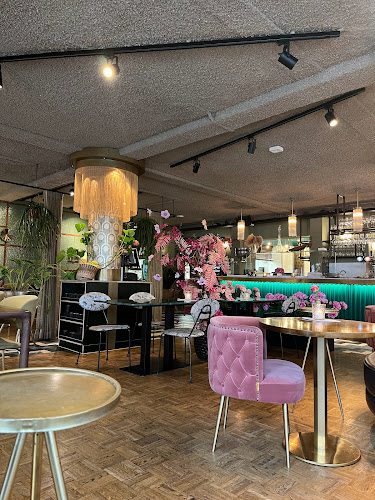 Comments and reviews of LadyPapa