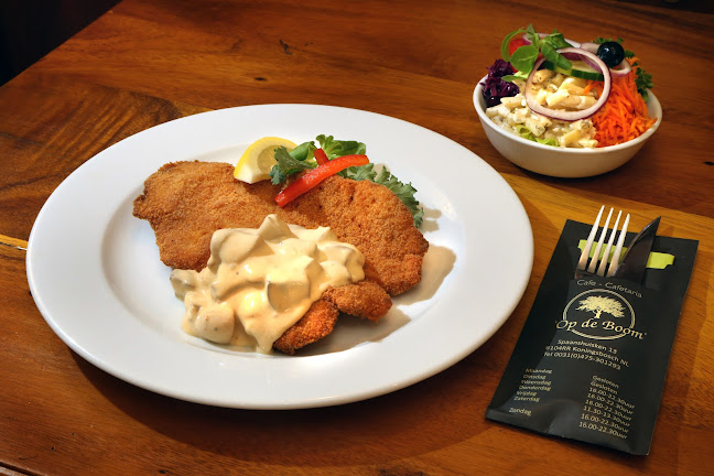 Spaanshuisken 13, 6104 RR Koningsbosch