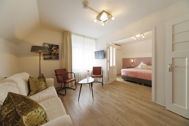 Comentarii opinii despre de Boerenkinkel