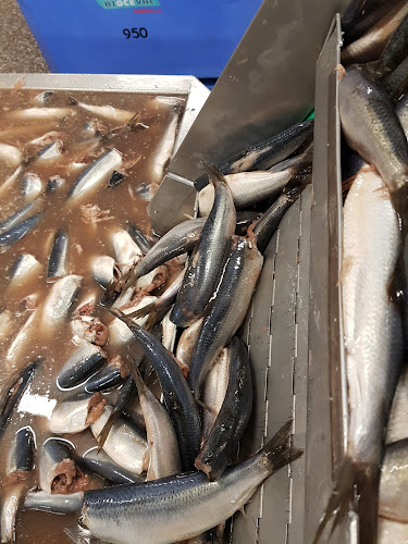 IJzersteden 7, 7547 TB Enschede