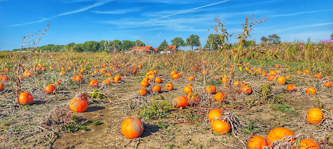 Beleef Het En Eet Het - Strijen