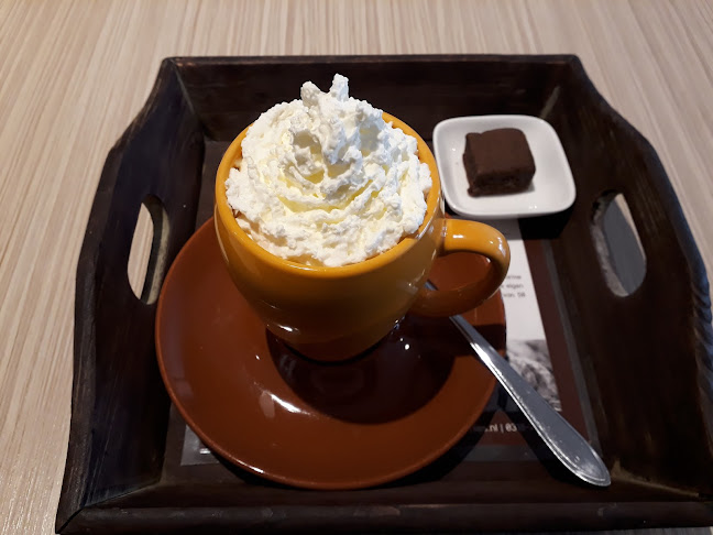 Ups & Downies - Horeca