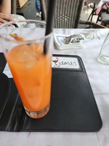 Comentarii opinii despre Griekse Taverna Yiamas