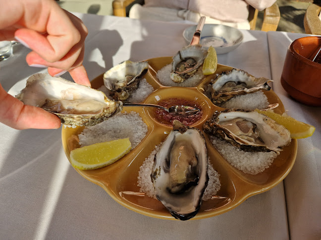 Comentarii opinii despre Restaurant Vesters