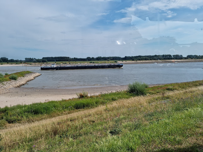 Comentarii opinii despre Grand Café Bellevue