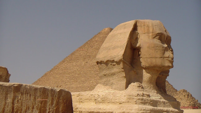 Kreekplein 38, 3079 AB Rotterdam