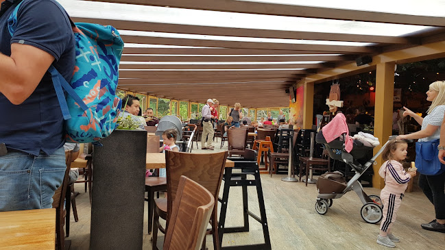 Kongo Restaurant Phone number