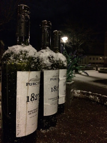 Comentarii opinii despre Cava 22