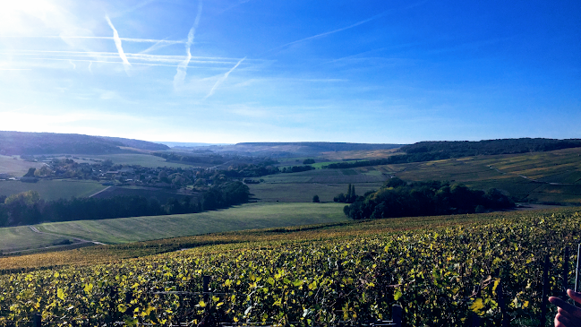 Huis van Champagne - Horeca