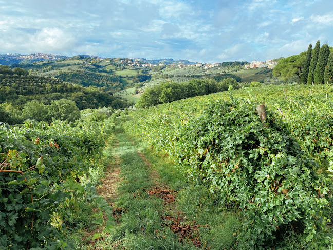 VinoPerTutti.nl - Winsum