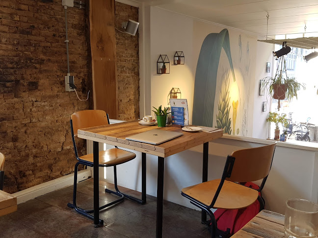 Lunchcafé curcuma - Horeca