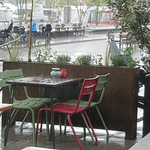 Jack Dish Open Times