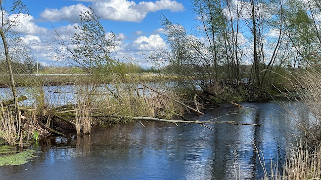 Opinii despre Herberg De "Poeling" în Den Dungen - Horeca
