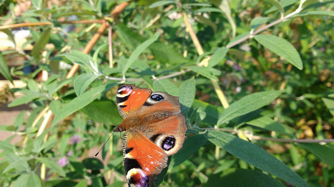 Opinii despre Bandito Espresso City Centre în Maastricht - Horeca