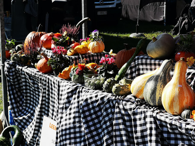 Biljartvereniging Het Vaartje
