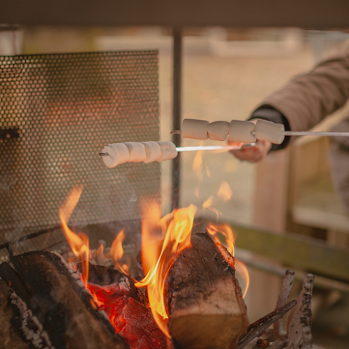 Comentarii opinii despre Boscafe