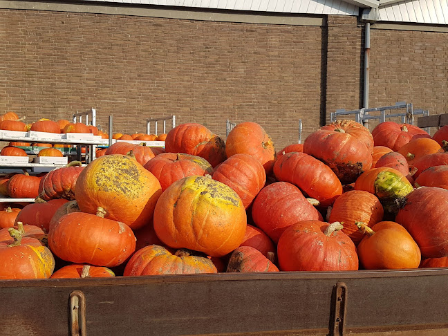 Langeweg 40, 3244 BH Nieuwe-Tonge