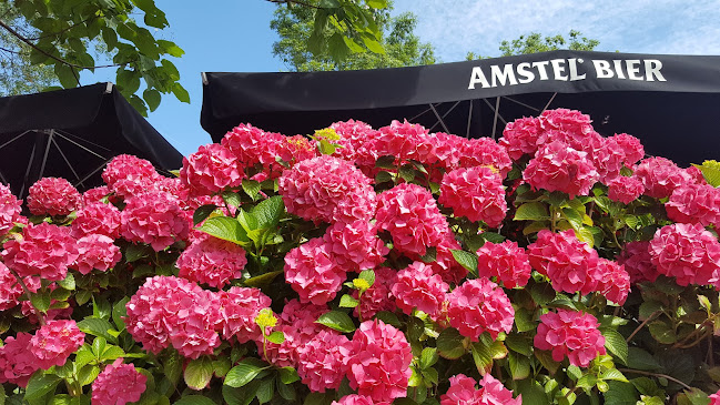 Echica - Geldermalsen